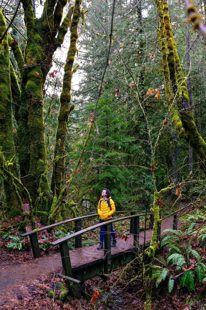 The bridge to Toketee falls along the highway of waterfalls in Oregon.