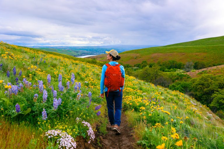 2024 outdoor gear guide: hiking, backpacking, and more