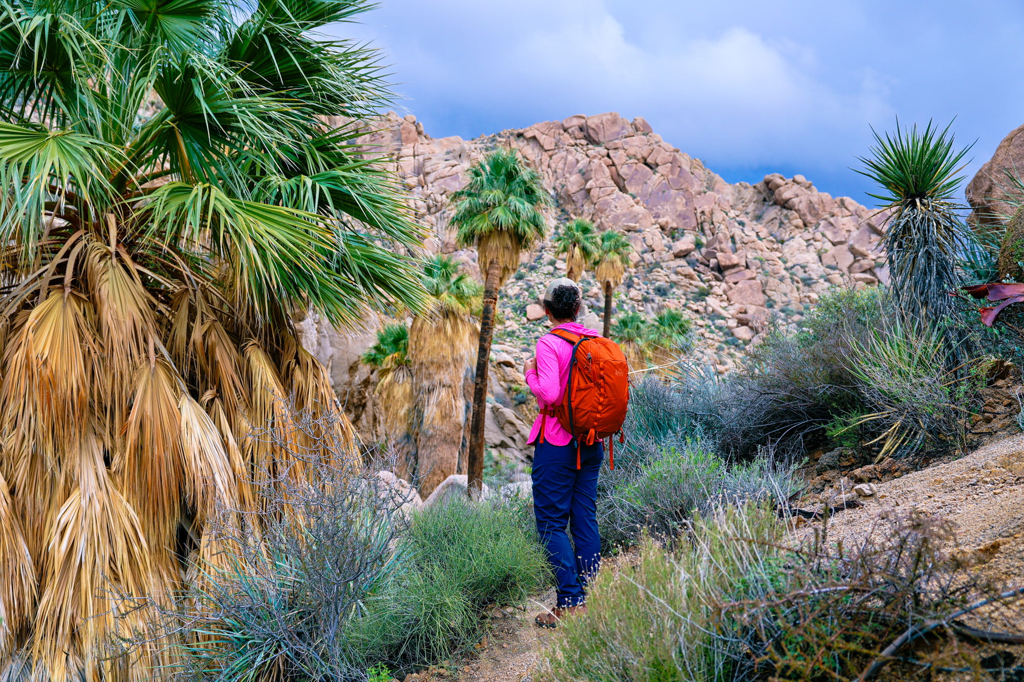 Woman standing looking at landscape on a hike