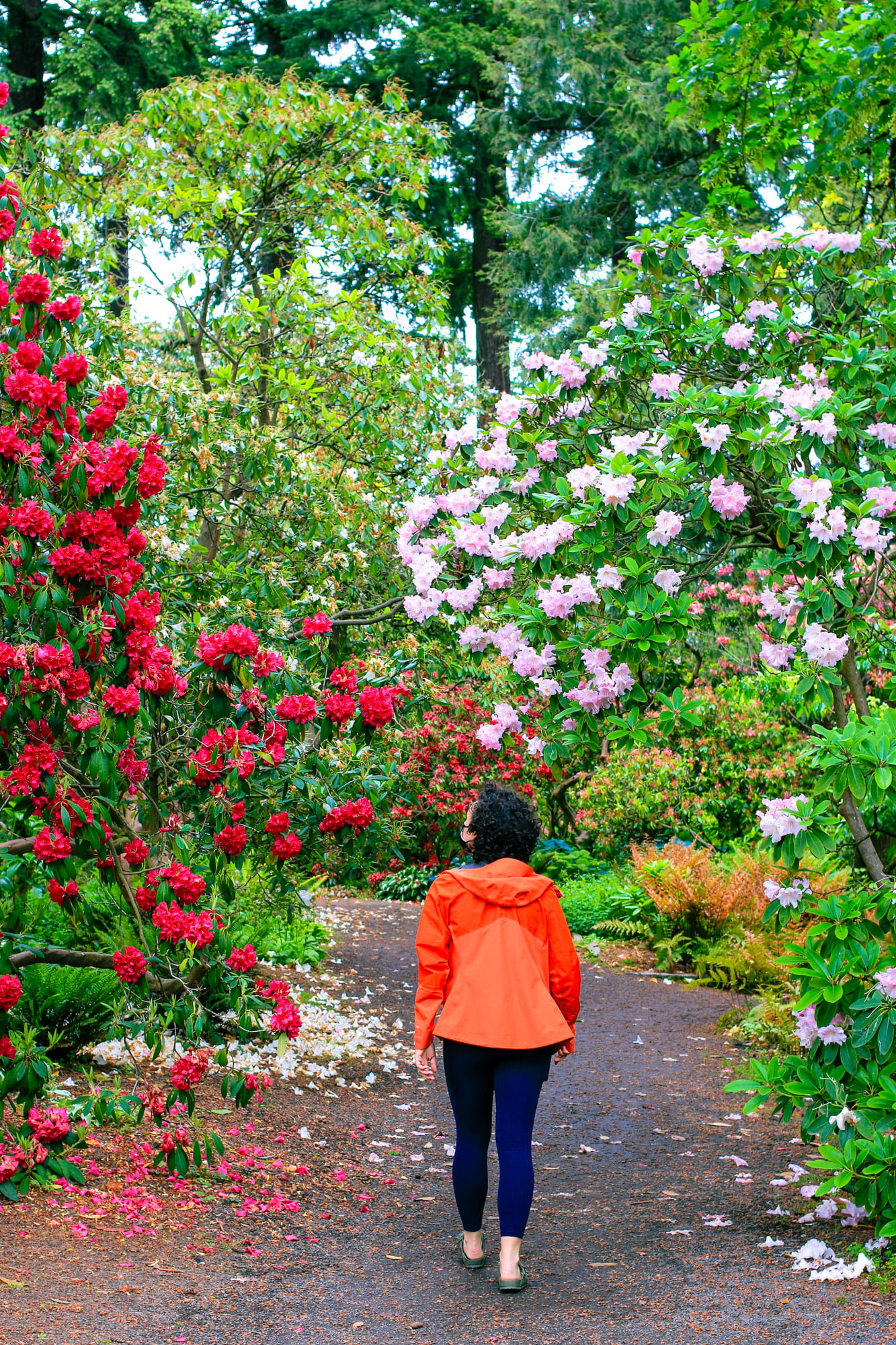 Itinerary for 48 hours in Portland, Oregon.