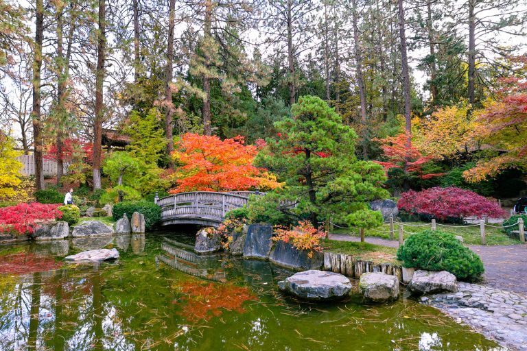 7 great places to see fall colors in Spokane