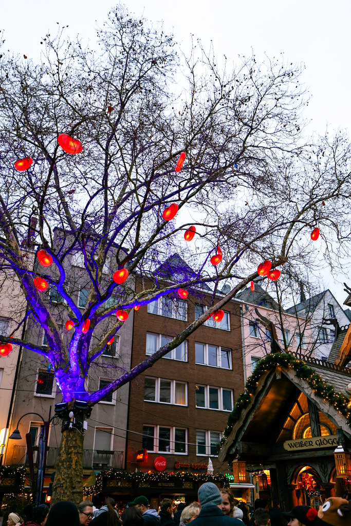 Decor in a festive Christmas Market in Cologne, Germany