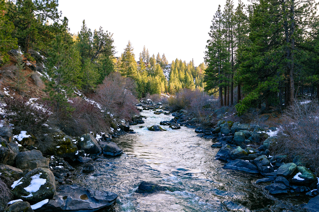 Deschutes River Trail in Bend OR