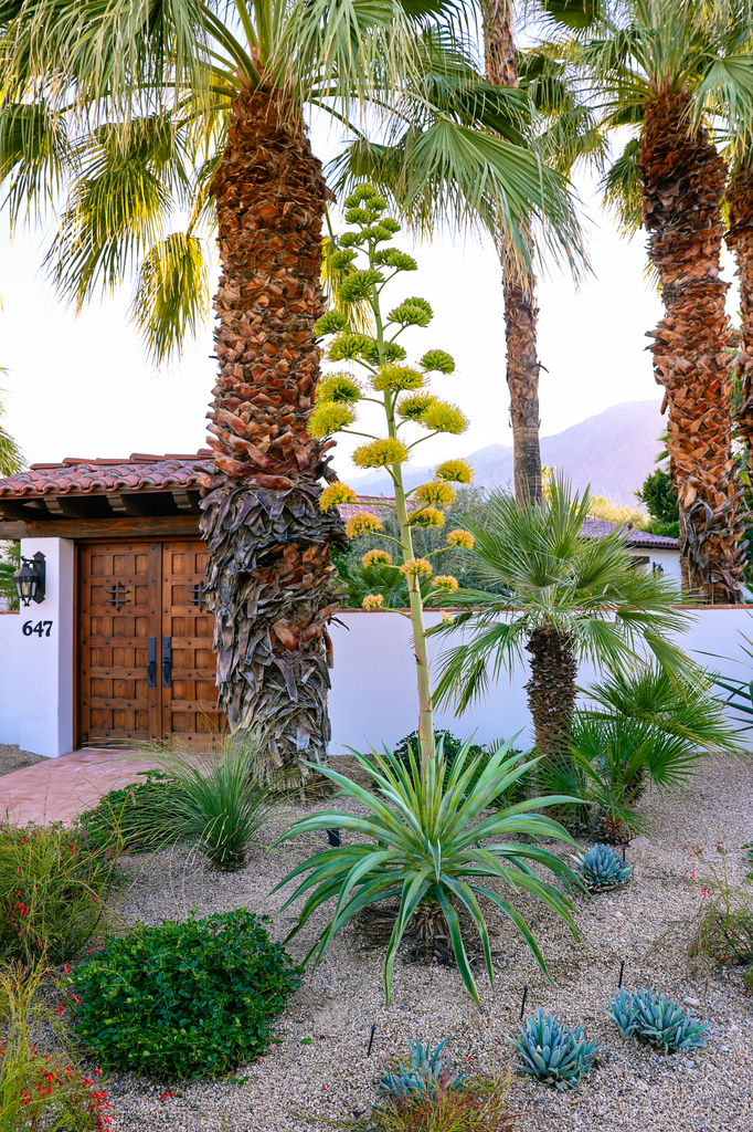 A picture of a Movie Colony house in palm springs, California