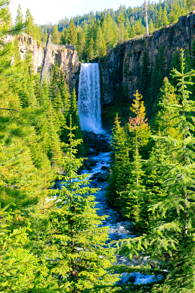 Tumalo falls in summer