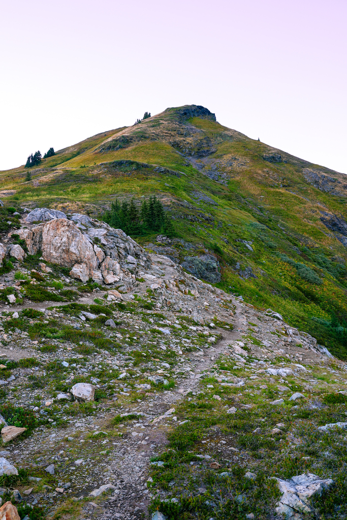Yellow aster butte trail