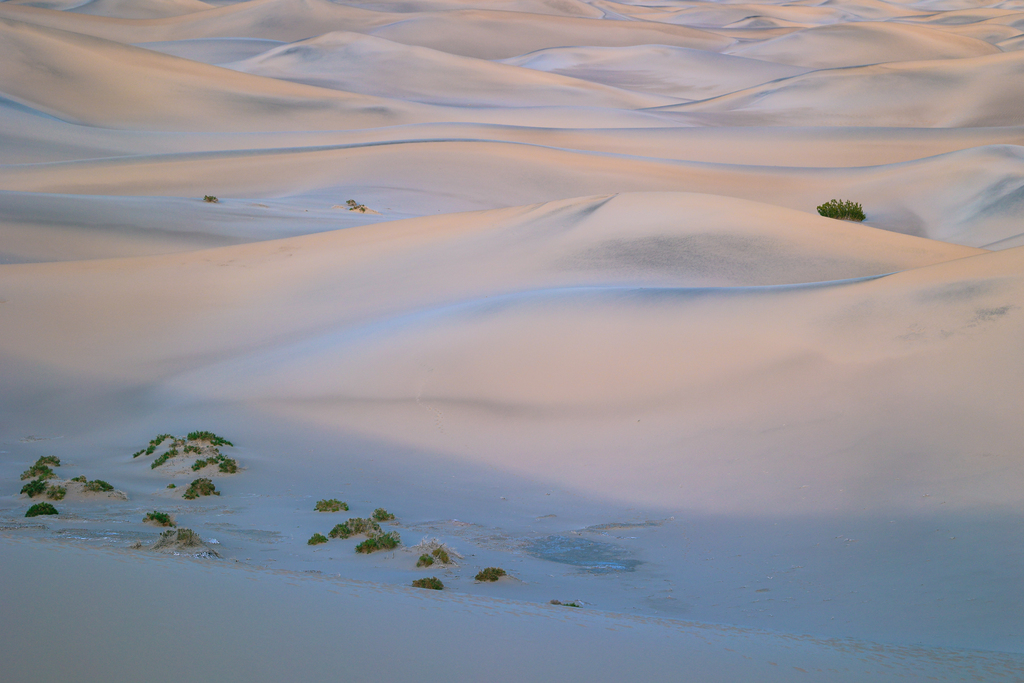 Mesquite flat sand dunes at sunset inn Death Valley National Park in California