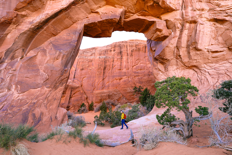 Woman standing under pine tree arch in arches national park in southern utah