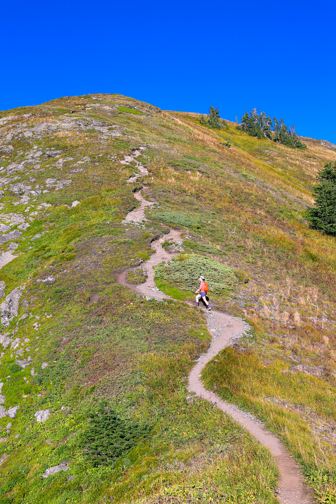 The final ascent up the yellow aster butte trail. It's steep!