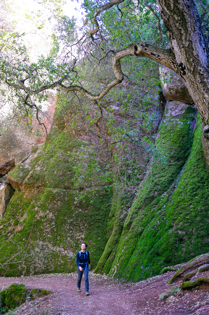 Hiking the Bear Gulch Reservoir and Caves via Moses Spring Trail in Pinnacles National Park