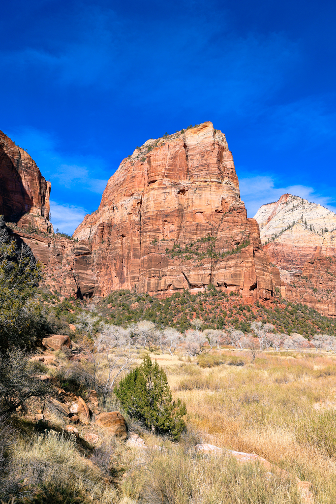 Angels Landing hike in Zion National Park