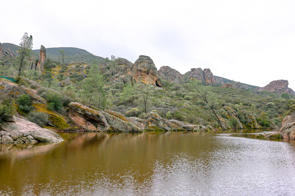Bear Gulch Reservoir in pinnacles national park