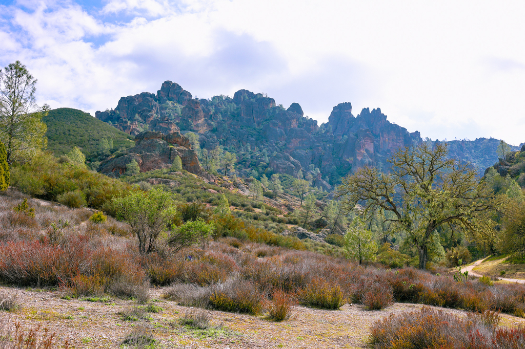 Pinnacles national park rocks and trees 2 day guide to the national park itinerary