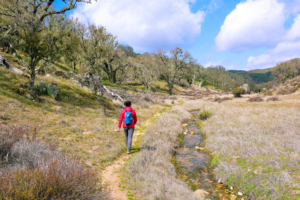 Woman hiking in pinnacles national park on the east entrance side in spring