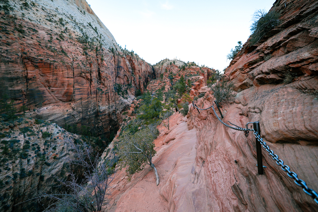 The chains portion of Angels Landing hike in Zion National Park