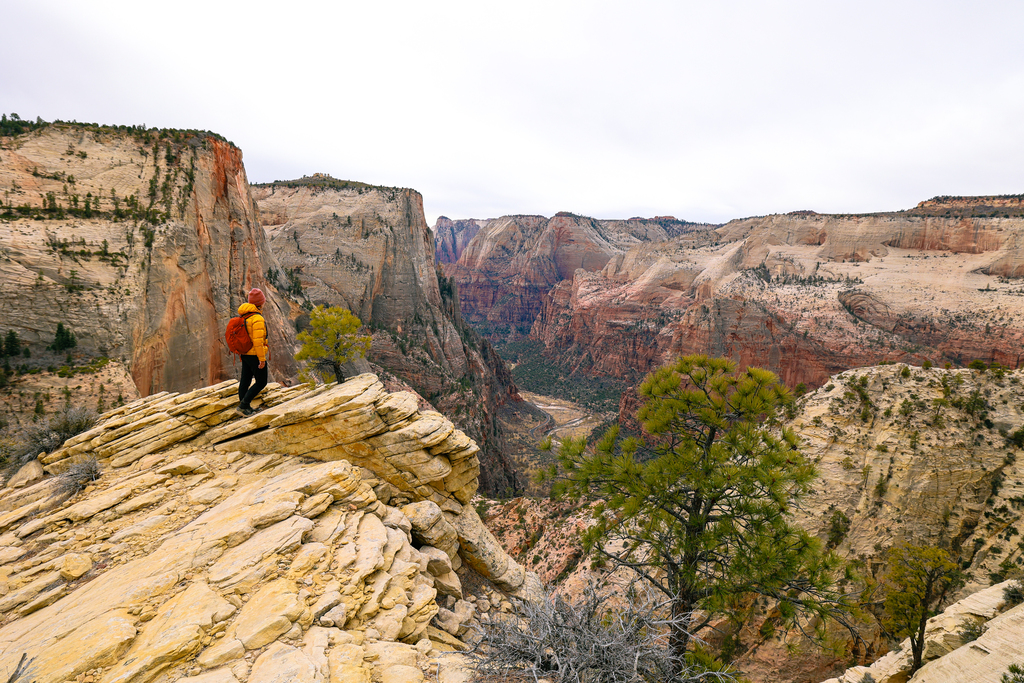 Looking at the view while hiking to observation point along the east rim trail in Zion national park