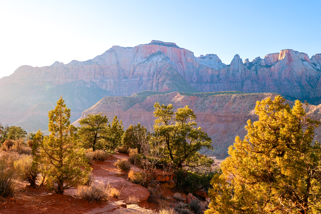 Watchman trail in Zion national park