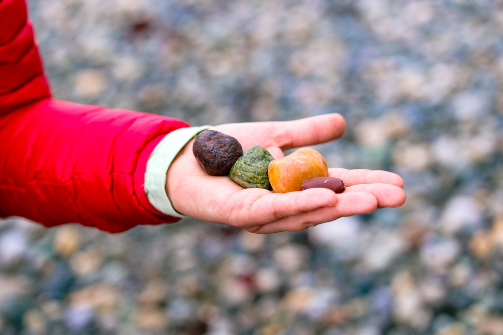Exploring the coast of Whidbey Island