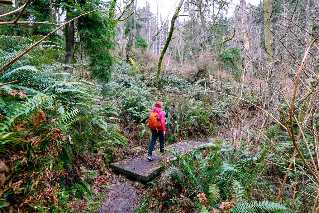 Hiking along Dorothy Cleveland trail on Whidbey Island