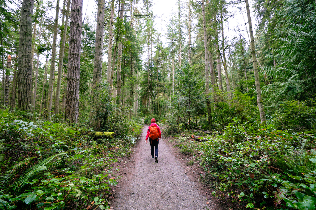 Trustland Trails Multi-use Trail Loop trial is one of the best hikes on Whidbey Island