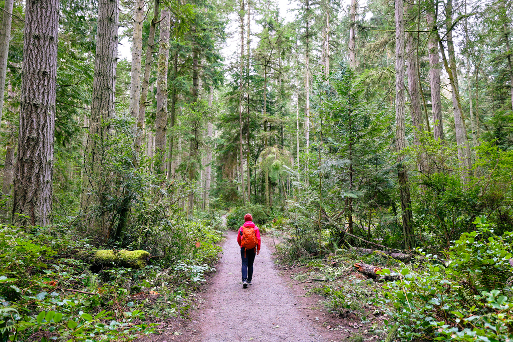 Trustland Trails Multi-use Trail Loop trial is one of the best hikes on Whidbey Island