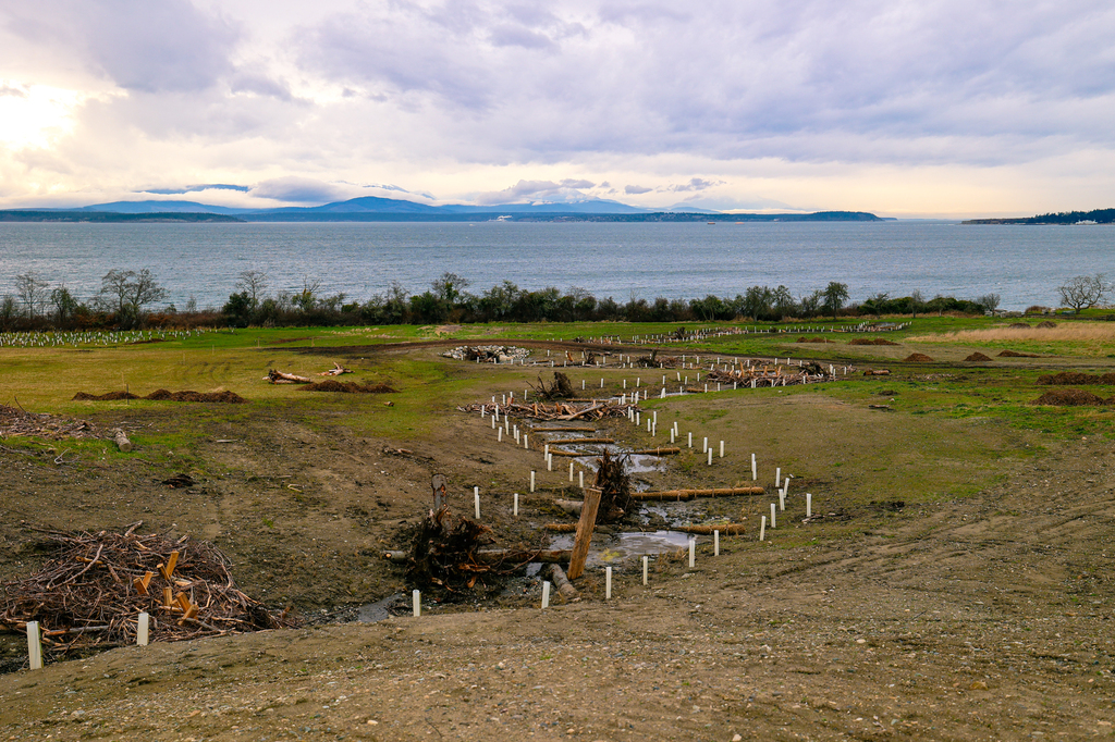Keystone Farm and Forest Preserve on Whidbey Island, managed by the Whidbey Camano Land Trust