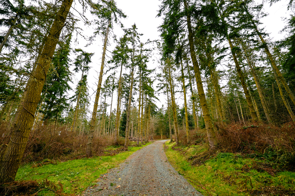 Keystone Farm and Forest Preserve on Whidbey Island, managed by the Whidbey Camano Land Trust