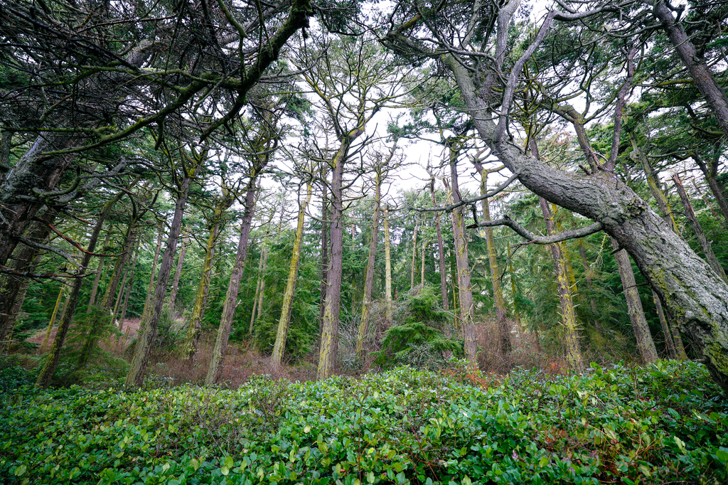 Ebey’s Landing National Historical Reserve on Whidbey Island hiking the Ebey’s Landing Trail