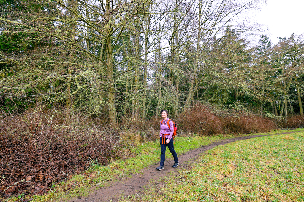 Hiking at Strawberry Point Preserve on Whidbey Island