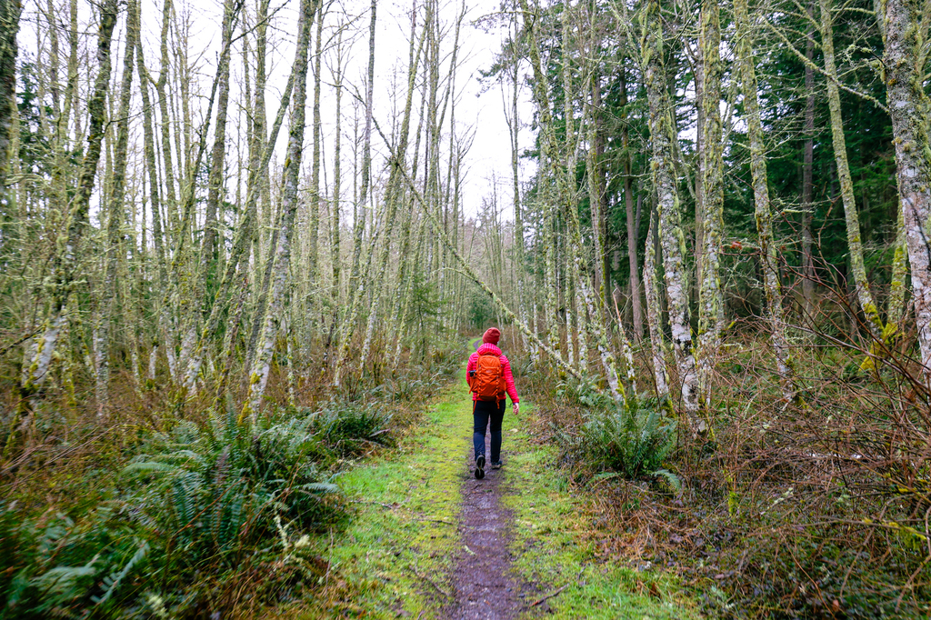 Dugualla State Park hiking trails on Whidbey Island
