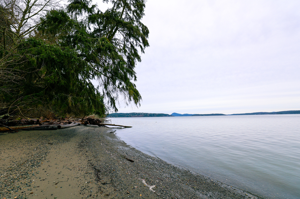 Dugualla State Park hiking trails on Whidbey Island