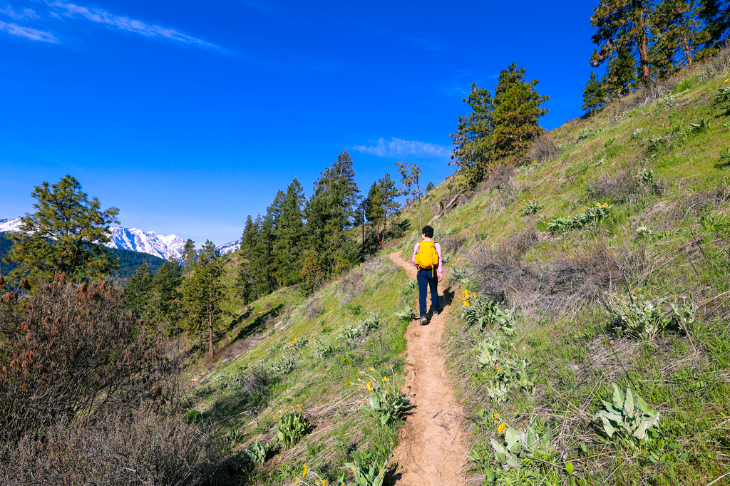 Hiking Sauer's Mountain in Leavenworth in spring