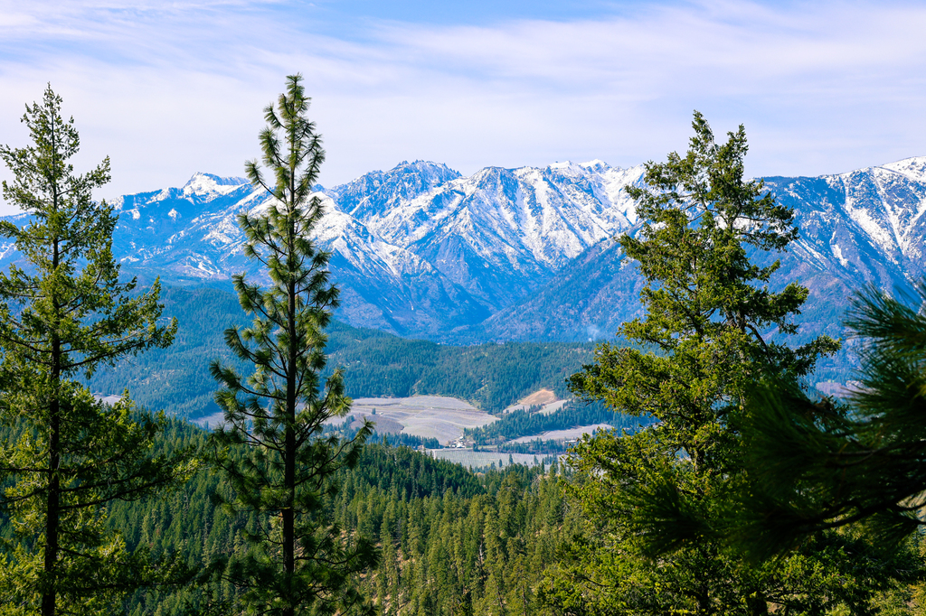 Hiking Sauer's Mountain in Leavenworth in spring with wildflowers in central washington