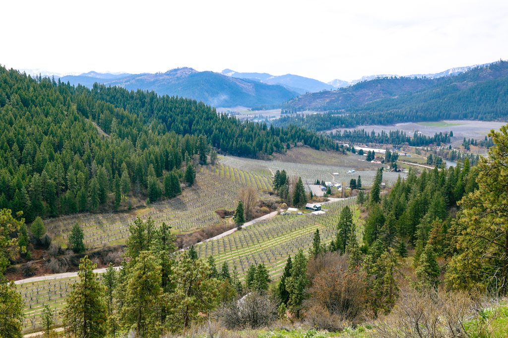 Hiking Sauer's Mountain in Leavenworth in spring with wildflowers in central washington
