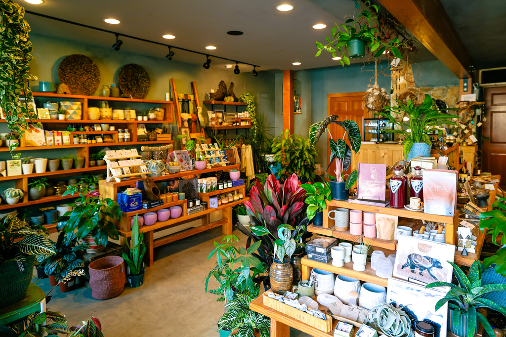 The Plant Ally in Leavenworth