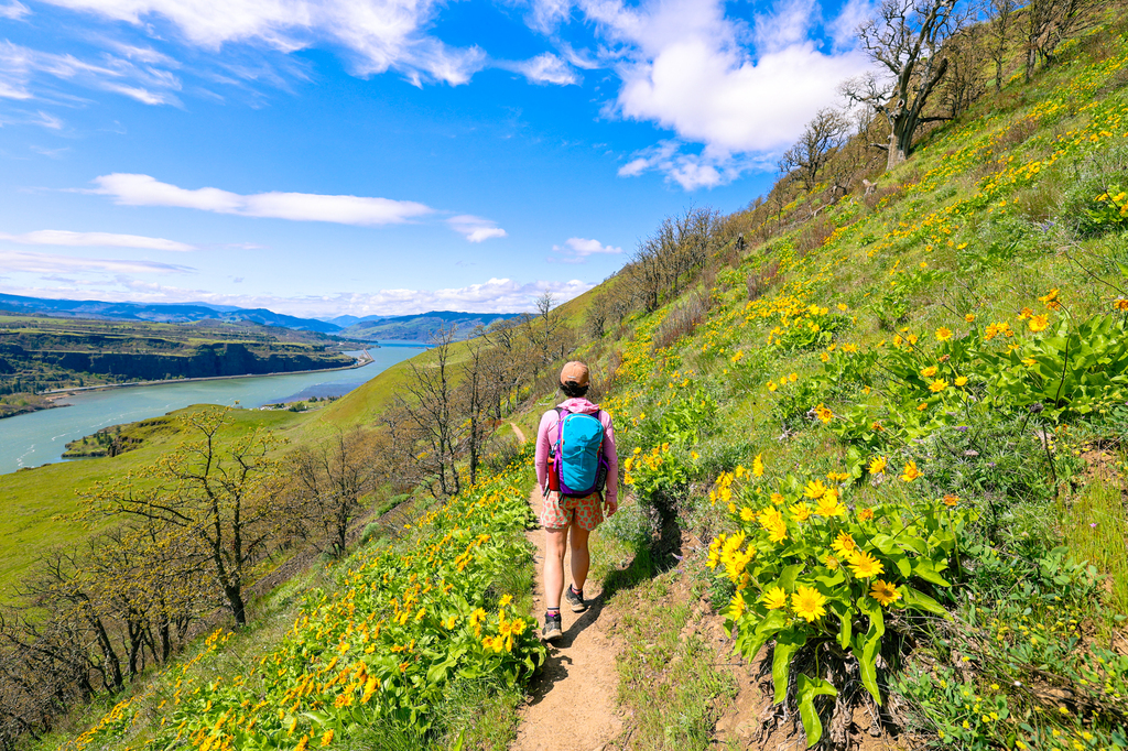 Lyle cherry orchard hike with wildflowers in the columbia river gorge