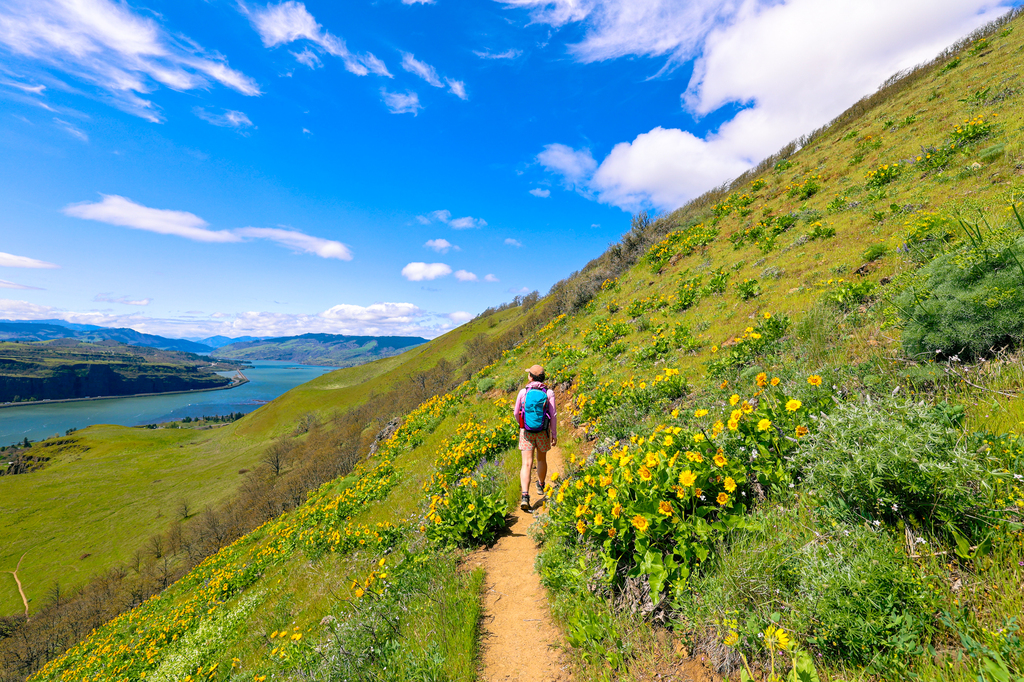 Lyle cherry orchard hike in spring in the columbia river gorge