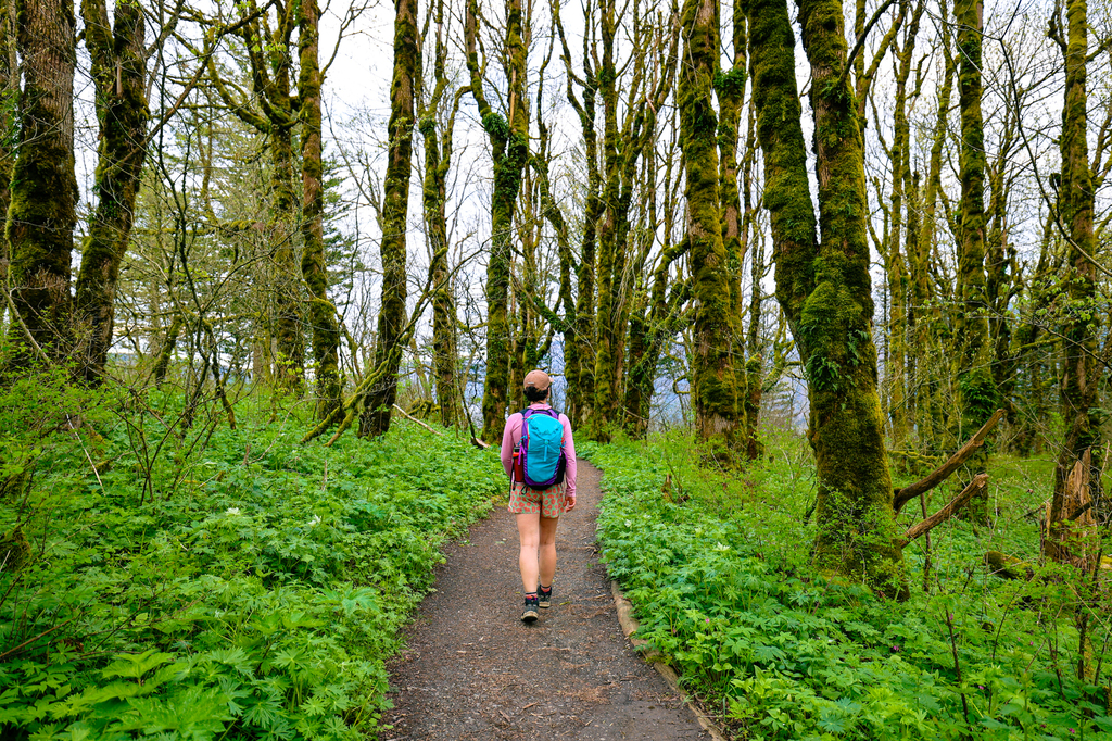 Hiking along the Cape Horn Trail in washington state in spring