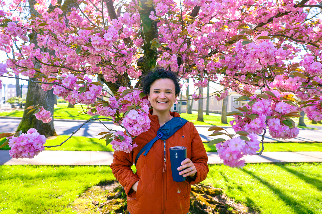 Fort Vancouver National Historic Site with spring flowers and cherry blossoms