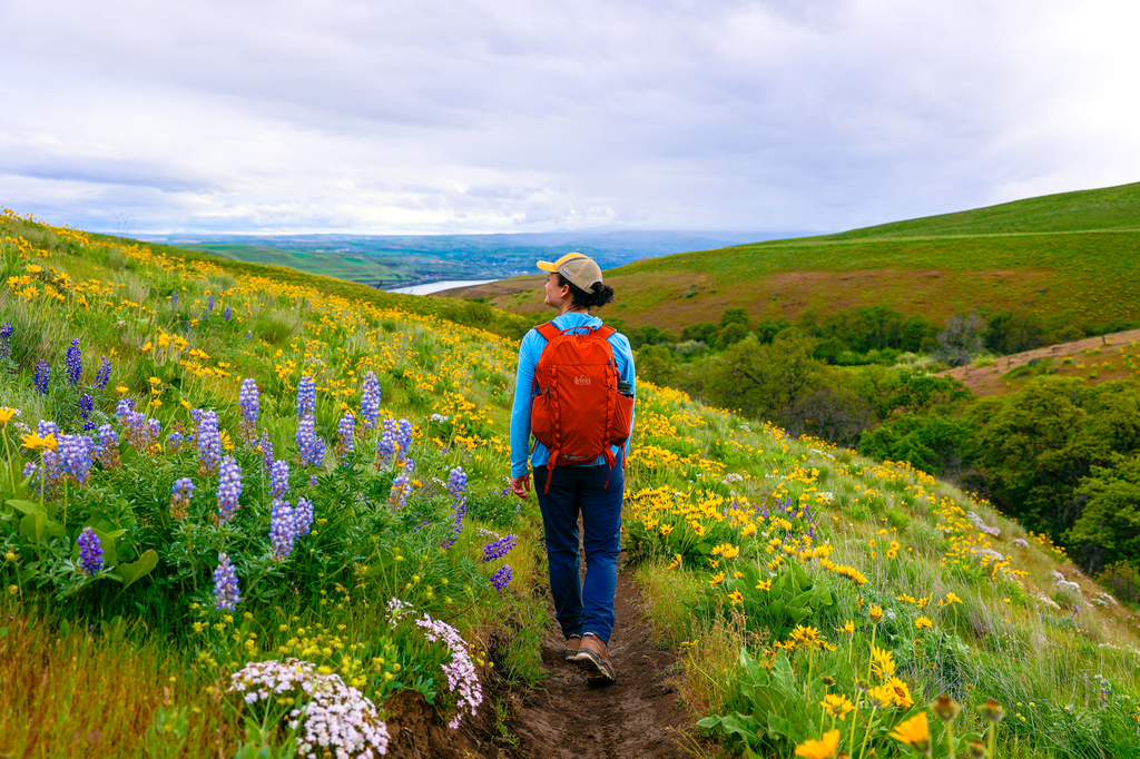 Columbia Hills Vista Loop hike in the Columbia River Gorge spring wildflowers