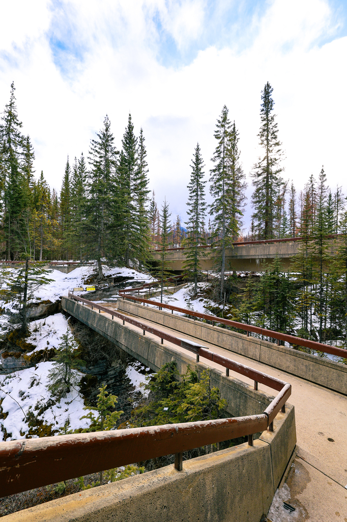 Athabasca Falls in winter Jasper National park