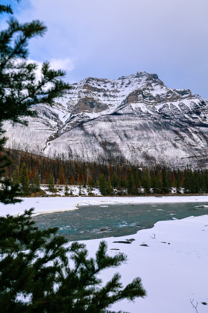 Athabasca Falls in winter Jasper National park