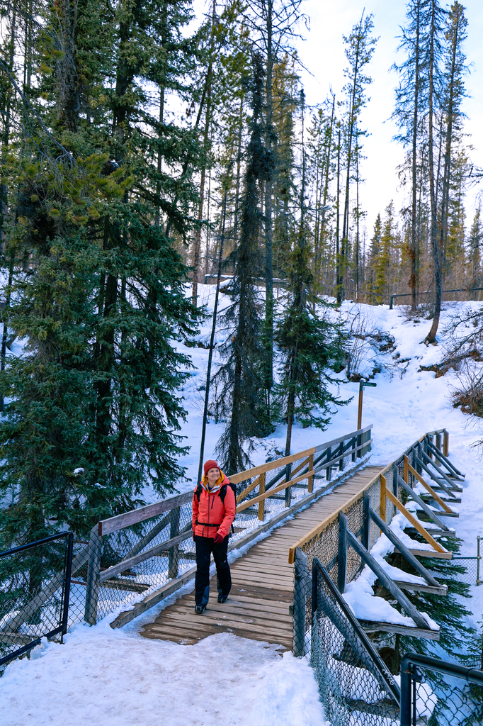 Sunwapta Falls in winter in Jasper National Park