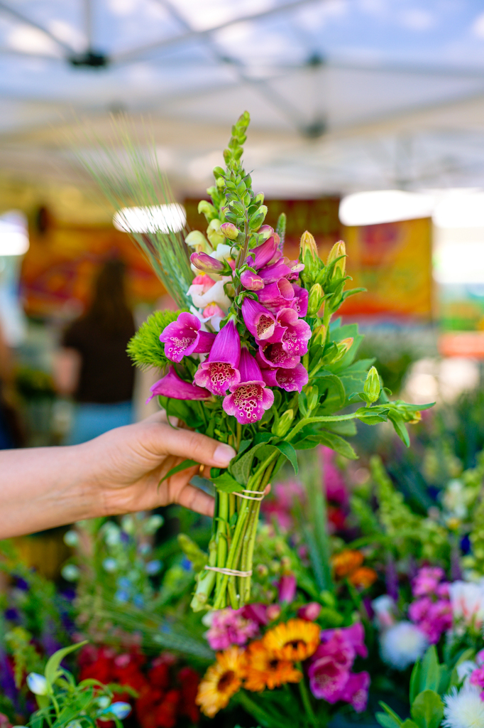 Flowers at the Chico certified farmers market in California