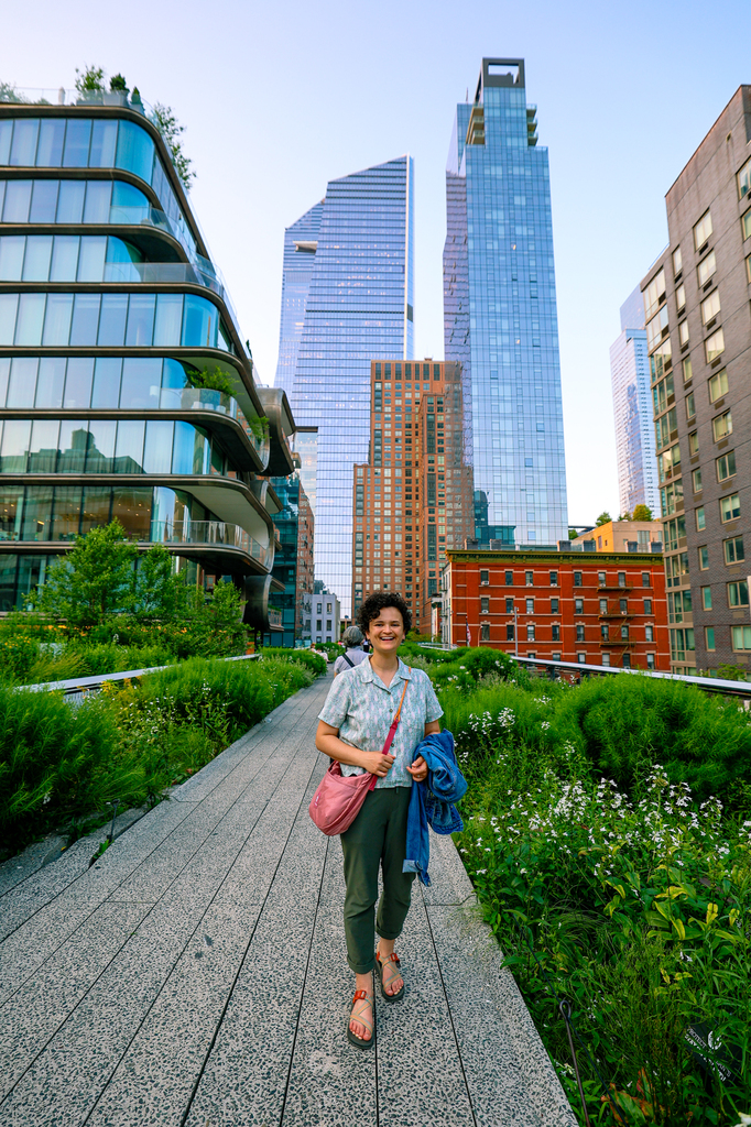 New York City, NYC - view from the High Line in summer in the evening