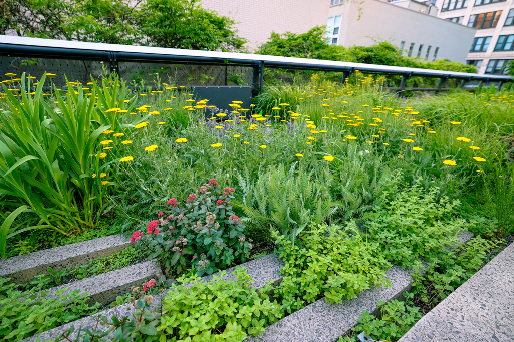 New York City, NYC - view from the High Line in summer in the evening
