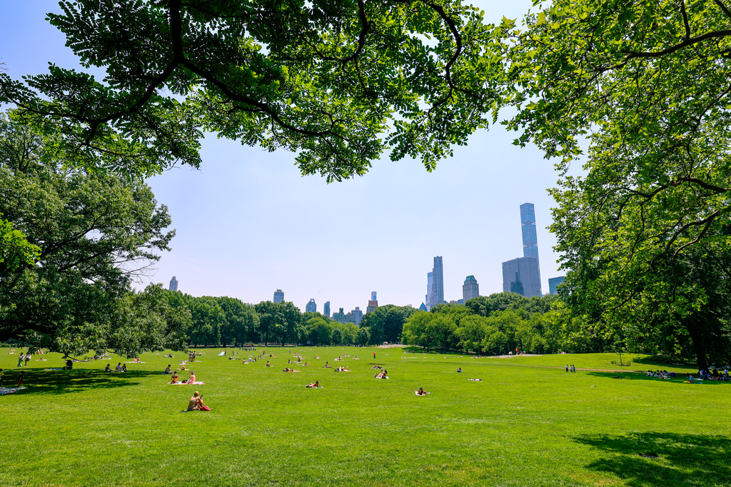 New York City free outdoor activities to do in NYC in summer - central park birding