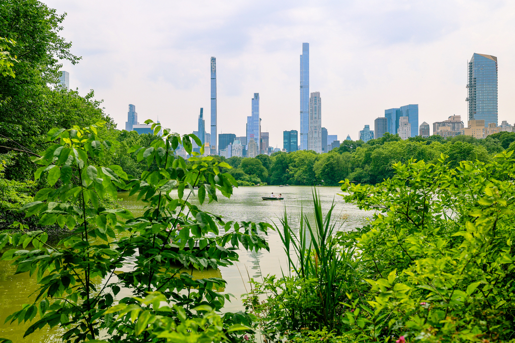 New York City free outdoor activities to do in NYC in summer - central park birding