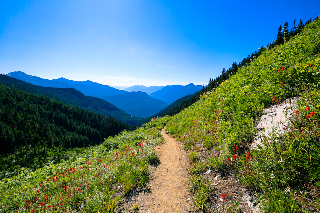 Hidden Lake Lookout hike in summer in Washington state North Cascades National Park