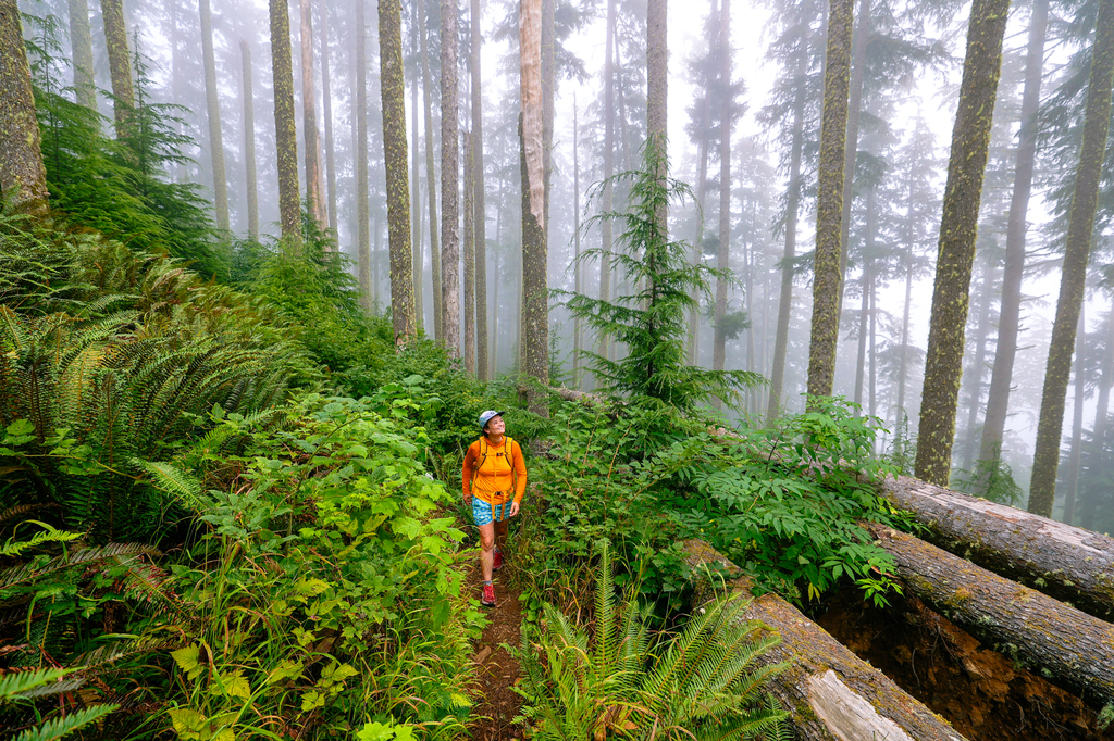 Hiking the Neah-Kah-Nie Mountain Trail in Oregon